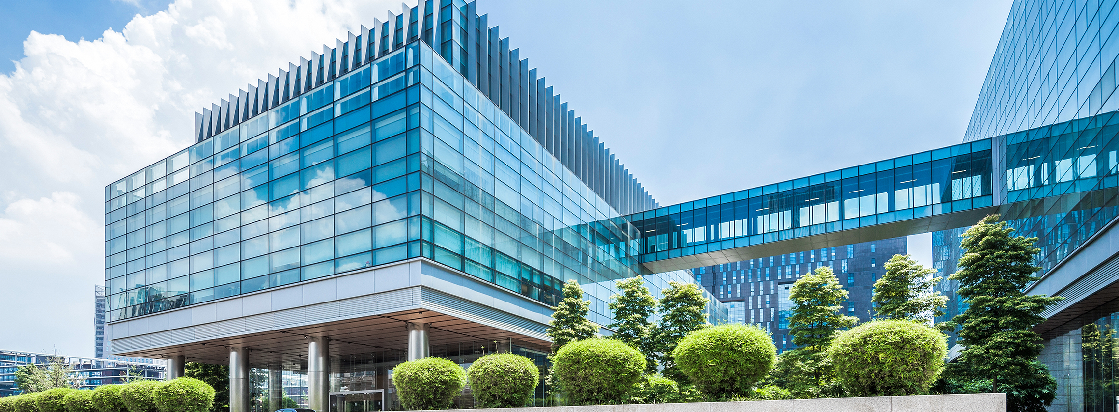 Wynajmę dom całorocznie